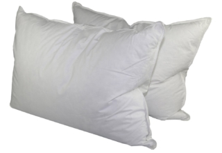 Down Dreams Standard Pillow Review