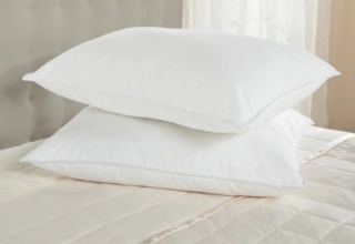 Royal Hotel’s Down Pillow Review