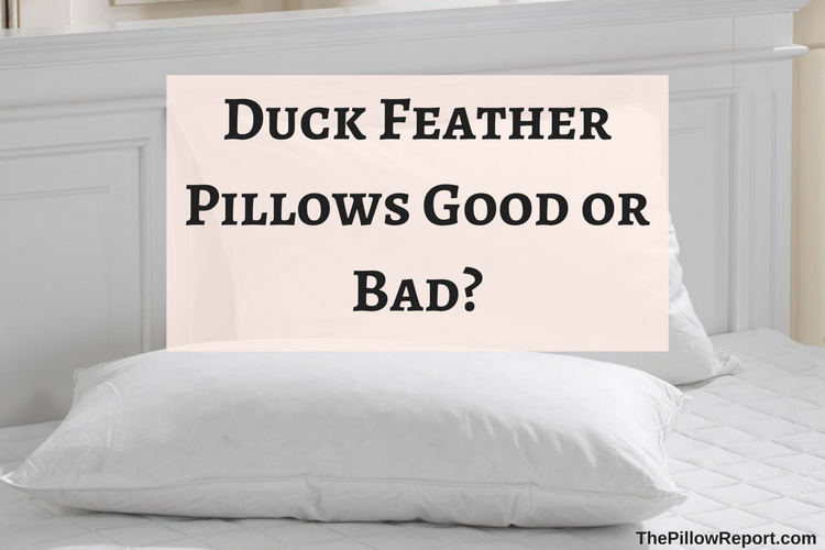 Duck Feather Pillows Good or Bad